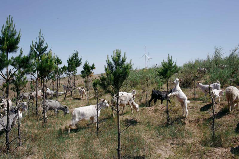 http://www.zhoupinglang.com/files/gimgs/23_se29.jpg