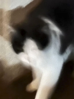 39_iphone13-018.jpg