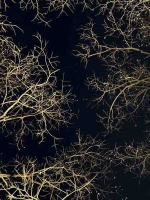 39_iphone13-022.jpg